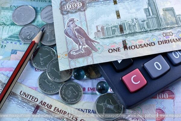 హీరా ఫ్రాడ్.. యూఏఈ నివాసితులు తమ హీరా తిరిగి రాబట్టుకోవచ్చా?