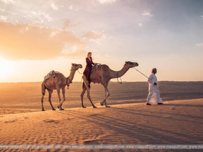 ఒమాన్ లో పర్యాటకం, వారసత్వ రంగాలను అభివృద్ధి చేయడానికి రెండు టెండర్లు