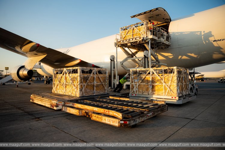 Mleiha Dairy Farm to expand to 20,000 cows in three years