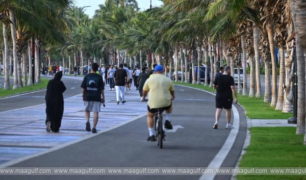 సౌదీ అరేబియాలో పెద్దలు శారీరక శ్రమపై GASTAT నివేదిక..!!