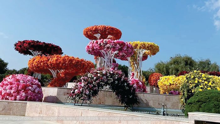 మస్కట్ నైట్స్‌.. 20 దేశాలకు చెందిన మిలియన్ ఫ్లవర్స్..!!