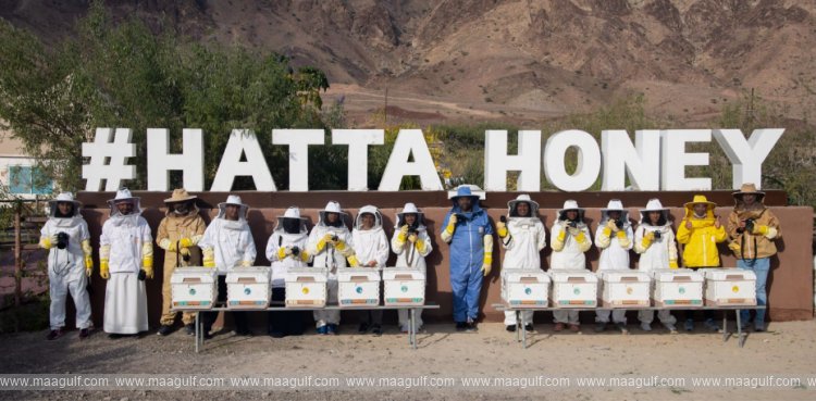 20 Community activities at the Hatta Winter Festival offer creative exploration and adventure experiences