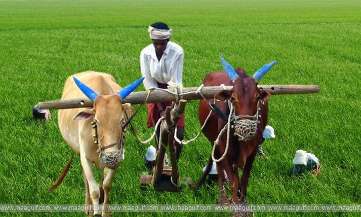 జాతీయ రైతు దినోత్సవం