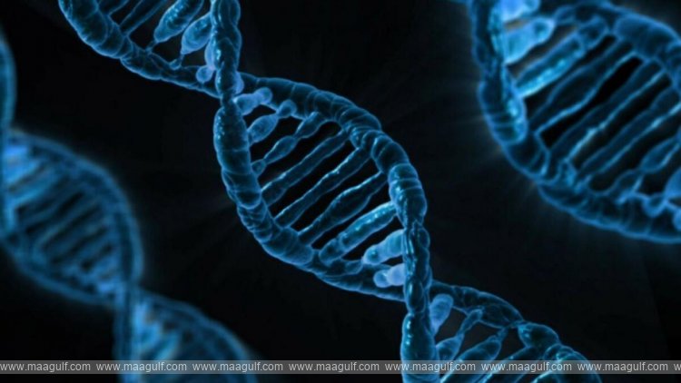 యూఏఈలో జనవరి నుండి ప్రీ-మాజెనెటిక్ పరీక్షలు తప్పనిసరి..!!