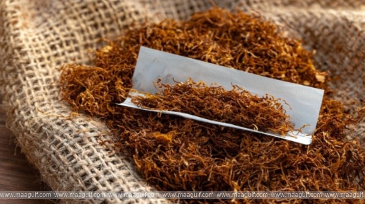 పొగాకు చట్టం కఠినం.. ఏడాది జైలుశిక్ష, BD100,000 ఫైన్..!!