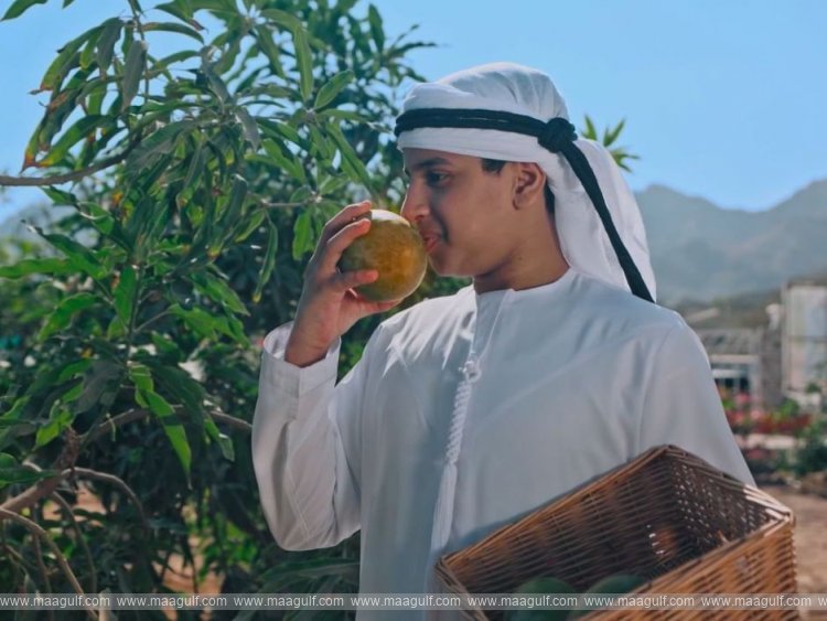 Dubai Municipality launches second Hatta Farming Festival