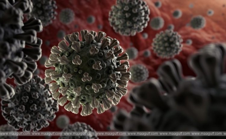 భారత్ లో పెరుగుతున్న హెచ్ఎంపీవీ కేసులు.. కేంద్ర ఆరోగ్య శాఖ కీలక సూచనలు