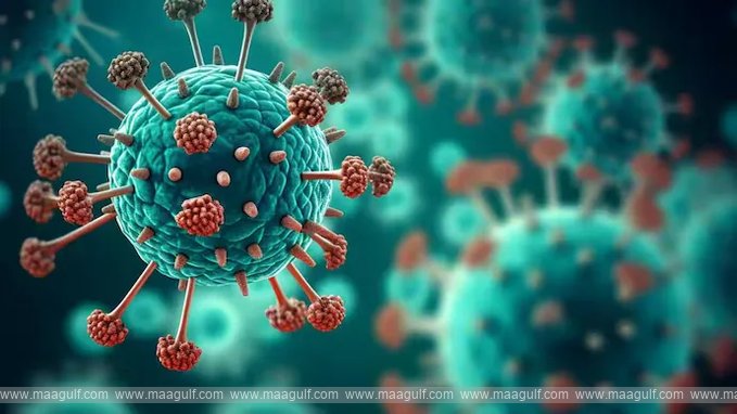 భారత్‌లో హెచ్ఎంపీవీ వైరస్ కలకలం.. బెంగళూరులో తొలికేసు నమోదు!