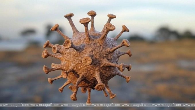 అమెరికాలో బర్డ్ ఫ్లూతో తొలి మరణం