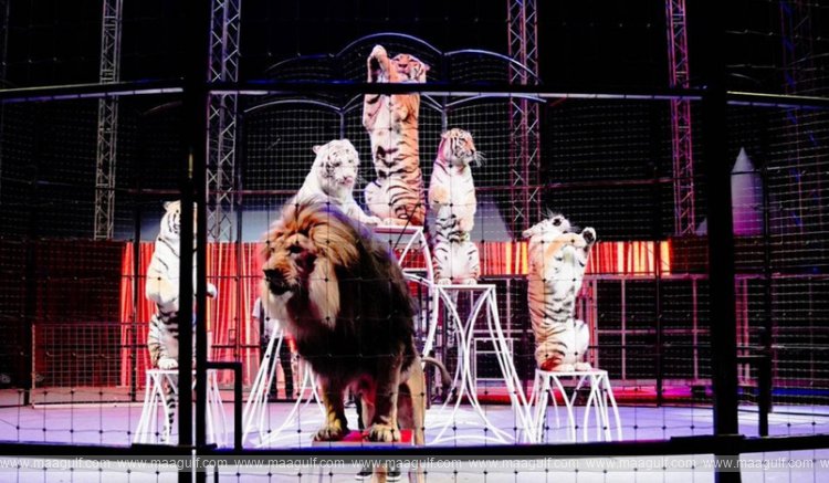 అల్ వక్రా సూక్ లో అంతర్జాతీయ సర్కస్.. జనవరి 17 వరకు పొడిగింపు..!!