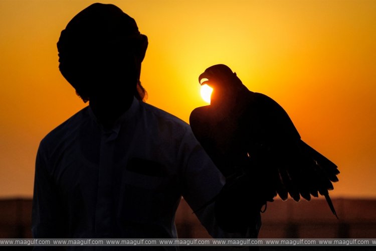 మార్మి 2025.. ఫాల్కన్రీ ఔత్సాహికులకు కేంద్రంగా సీలైన్..!!