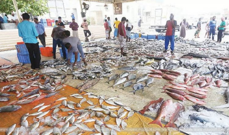 అబుదాబిలో మత్స్యకారుడికి 50,000 దిర్హామ్‌ల జరిమానా..!!