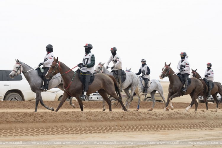 UAE President\'s Endurance Cup to commence tomorrow in Al Wathba