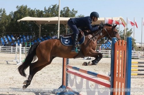 బహ్రెయిన్‌లో ప్రారంభమైన ఇంటర్నేషనల్ షోజంపింగ్  ఛాంపియన్ షిప్..!!