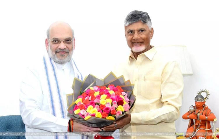 కేంద్ర మంత్రి అమిత్‌షాతో సీఎం చంద్రబాబు భేటీ..