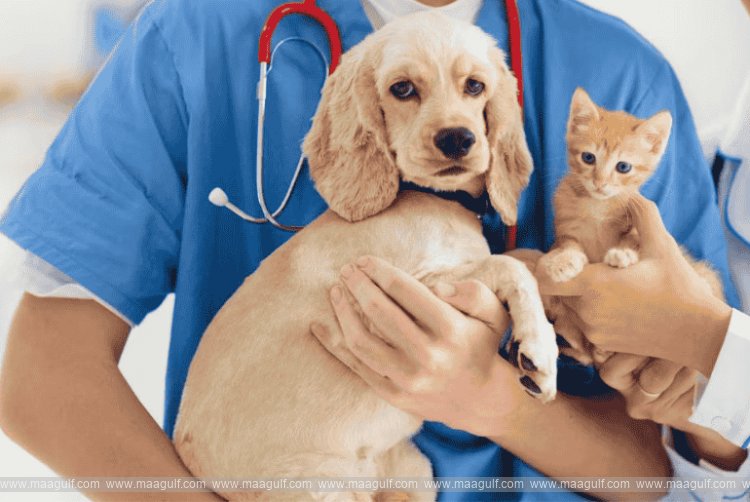 అబుదాబిలో పెంపుడు జంతువుల రిజిస్ట్రేషన్ తప్పనిసరి..!!