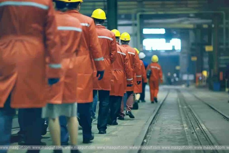 20 New insurance plan launched for Indian workers with Dh32 premium for Dh35,000 payout