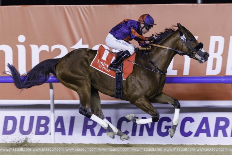 \'Imperial Emperor\' wins G2 Al Maktoum Classic
