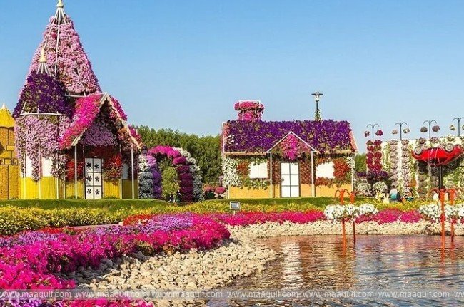 దుబాయ్ మిరాకిల్ గార్డెన్ సీజన్ 13..ఆరోజుతో స‌మ్మ‌ర్ సీజ‌న్ ముగింపు..!!