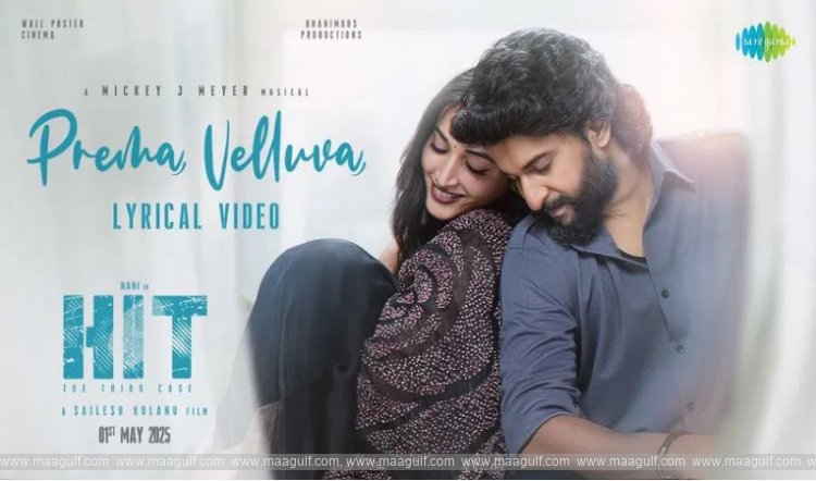 నాని హిట్ 3 సినిమా నుంచి రెండో సాంగ్ వచ్చేసింది..