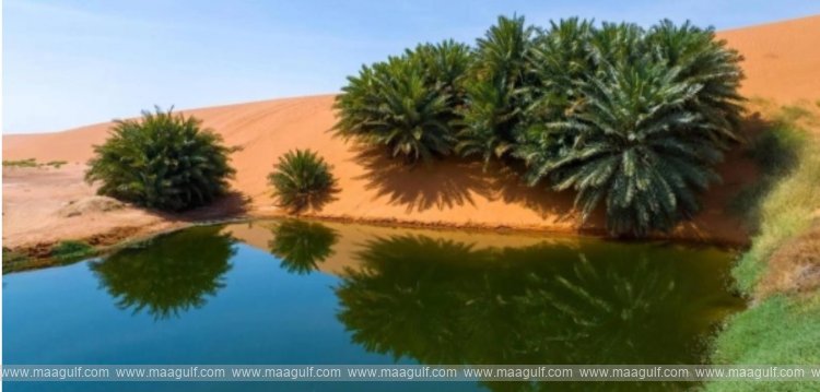 యునెస్కో గ్లోబల్ జియోపార్క్స్ జాబితాలో..నార్త్ రియాద్ జియోపార్క్, సల్మా జియోపార్క్‌..!!