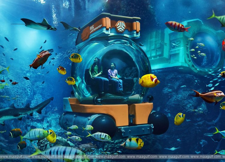 SeaWorld Yas Island, Abu Dhabi, introduces new \'SeaSub\' experience
