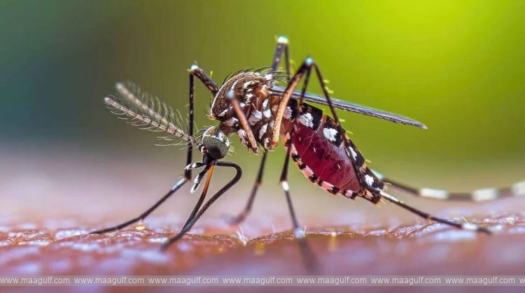 ప్రపంచ మలేరియా దినోత్సవం