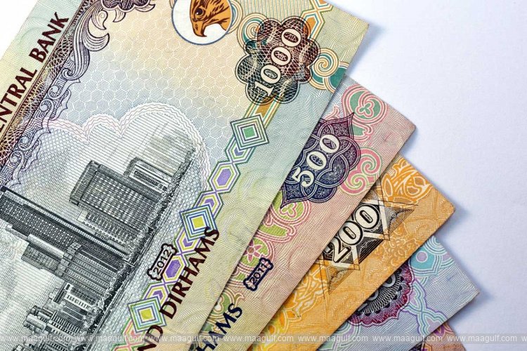 ఇ-స్కూటర్‌పై ఉన్న చిన్నారి మీద కారు ఢీకొన్న ఘటన...Dh20,000  జరిమానా