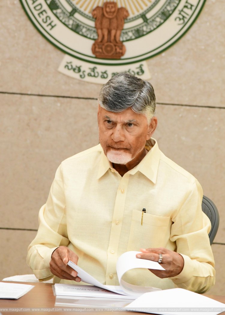 జూన్ 12 తర్వాత ఎప్పుడైనా ఆకస్మిక తనిఖీలు: సీఎం చంద్రబాబు