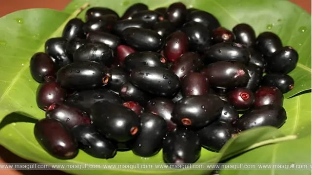 11 నేరేడు పండ్లు తింటే షుగర్ దూరం: నిపుణులు