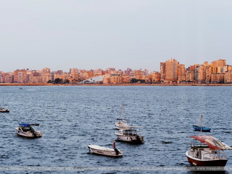 Snøhetta’s People and the Library of Alexandria exhibition is landing in Abu Dhabi