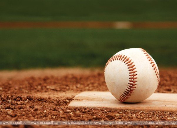 Baseball Governing Committee continues to explore sport’s development and growth opportunities in the UAE