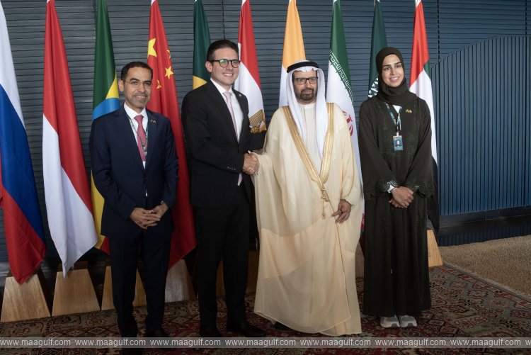 UAE, Brazil discuss parliamentary cooperation