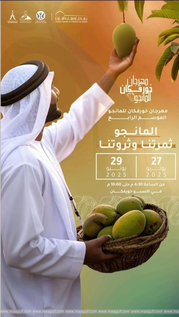 20 Mango Festival 2025 kicks off Friday at Expo Khorfakkan