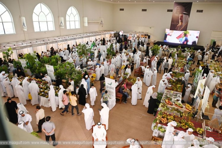 20 Khorfakkan Mango Festival concludes on high note