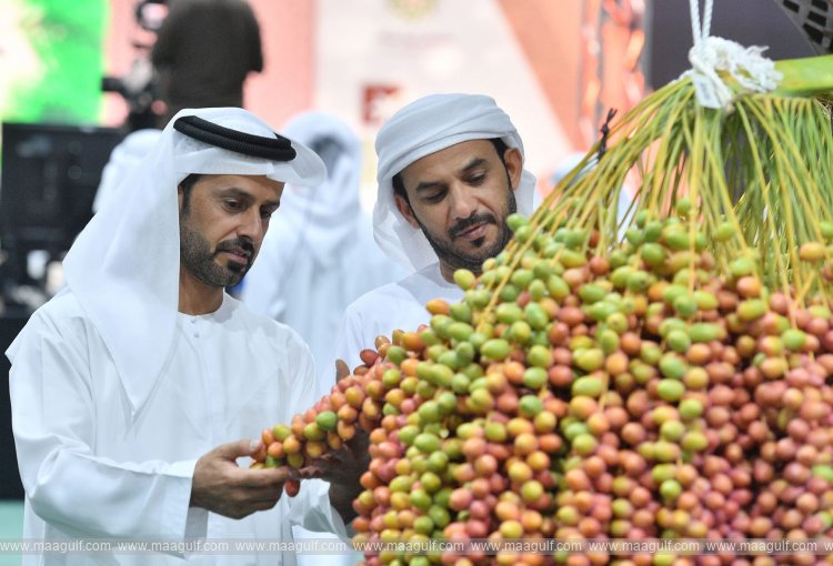 20 21st Liwa Date Festival to launch on July 14 under patronage of Mansour bin Zayed