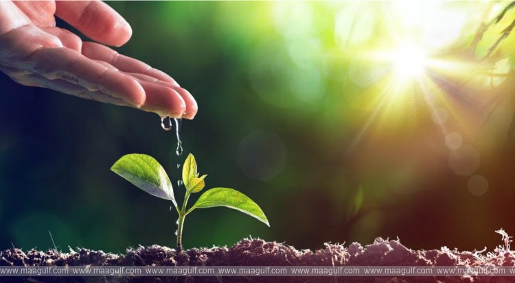 20 Planting Hope: A Green Promise for Our Planet