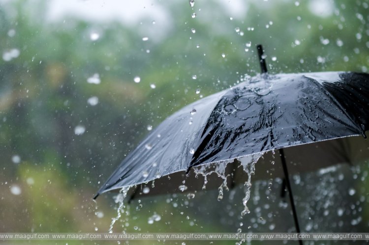 తెలంగాణలో భారీ వర్షాలు..14 జిల్లాలకు IMD ఎల్లో అలర్ట్ జారీ