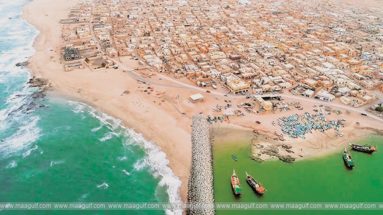 అల్ అష్ఖారా బీచ్‌లో మరణించిన వేల్..!!