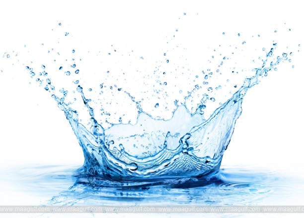 ఫుజైరాలో లైసెన్స్ లేని కంపెనీలకు జరిమానా..!!