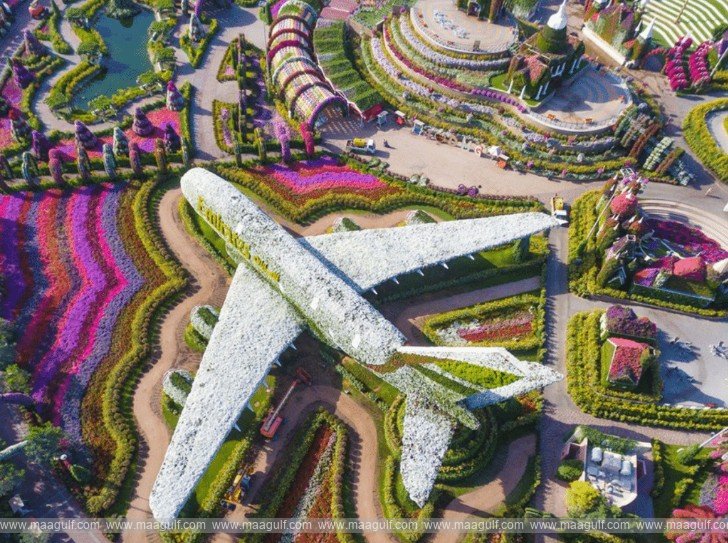 Dubai Miracle Garden has announced its official reopening date