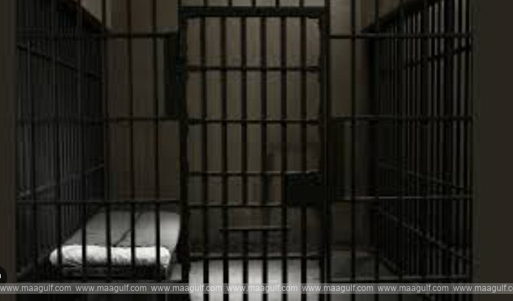 డ్రగ్ కేసులో 10 సంవత్సరాల జైలుశిక్ష..!!