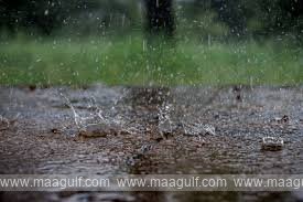 Hyderabad trembles like a twig due to heavy rain
