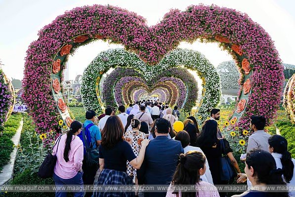 దుబాయ్ లో వికసించిన 150 మిలియన్ల ఫ్లవర్స్..!!