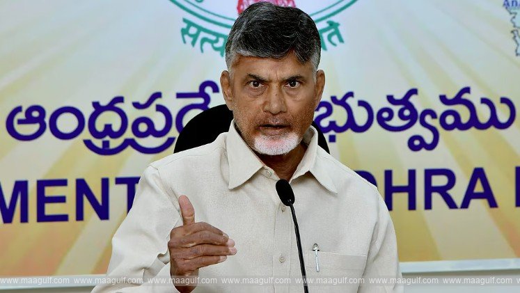 నిరుద్యోగులకు ఉపాధి శిక్షణ: సీఎం చంద్రబాబు