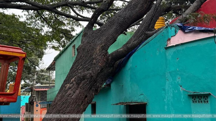 1 తిరుమల పై ‘మొంథా\' తుఫాన్ ప్రభావం