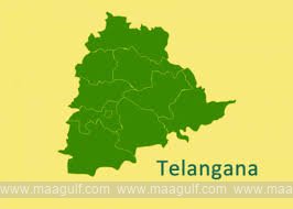 1 తెలంగాణలో మినరల్స్ నిక్షేపాలు