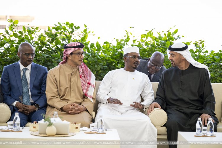UAE, Chad Presidents review bilateral cooperation