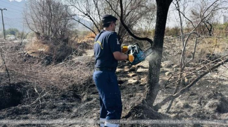 1 ఒమన్ లో కార్నిచ్ నివారణకు స్పెషల్ ఆపరేషన్..!!