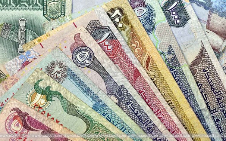 Dh5,000 సాలరీ పరిమితి ఎత్తివేత.. బ్యాంకులు రుణాలిస్తాయా?